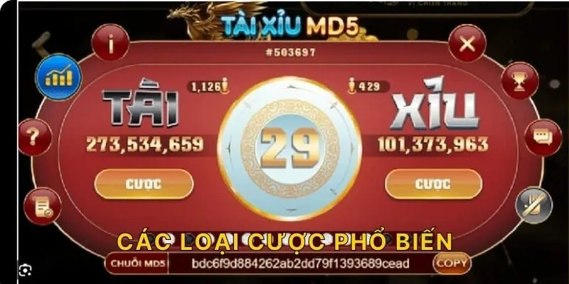 Các loại cược phổ biến